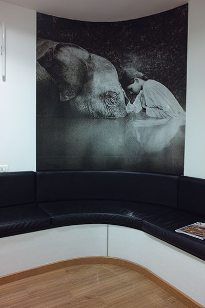 Studio Dentistico Laura Leo - Photo studio - Sala d'attesa